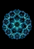 2019-09-08/f0e70545dddeda61d0eb1608488bdffd_3ba3906fbf009da039cbdd8adc370ca4