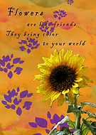 2019-09-09/0d67393bec04ef2c11c31ba82876c586_dbd11784c8bf892e625510065f1f7069