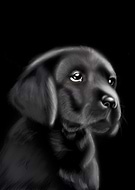 2019-09-09/c0bac312670c4fe74155d47a55e7a9b4_947424d024bc37bbc93ffaa44f35ad36