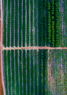 2019-09-09/c841045d29a36290db878e213b6114e4_1e7bca17d4803d30c391c25e1ce7e204