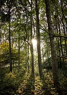 2019-09-10/06ff5f5372dc497d11d466e44b9821d4_c59d31e857369f329cd2e1ef0e020ab0