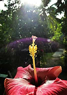 2019-09-10/0f37b423f52ffcf4dbecb2a78921f7a9_ce8b3c444fad0f4b584f0f8877e758ff