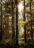 2019-09-10/ddb8bdbf9b93d167828d06ee6bf28dfc_2076edccabcb859a79f863143ef887f3