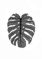 2019-09-10/df09720dd0791b858c7bf9ca5a538af2_aabde38c1a863dd3c4edaad01975a355