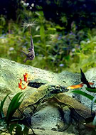 2019-09-12/b62107afdfa71871b43ba005d9474b43_2546b95b0ed68c83a3ff4b47accfbb44