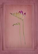 2019-09-12/ed6e44b4b5b509d28502ba756c8885da_02d041d975b755c83842285b322a9495