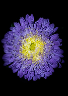 2019-09-13/27a8531421897e6bf90065a4697530c8_c28d10d9745ad9293eecd72346ce3514