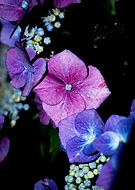 2019-09-13/6bdbcb89439544f0905096d891f5b270_a51a520e4e8595f3273691bff5c1b1c0