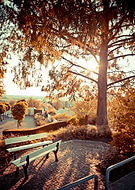 2019-09-13/94f6d1fd75cf36b091fec7d0a55cd295_75f600c643c019988c353d54a2a58d19