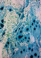 2019-09-15/bf4ece89584ce56ecebeb08f2a64aff9_70403ba0578b11bc65384dbdf623bb64