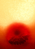 2019-09-17/d4454690e789eeafdff1e7275bc854a5_f9fa8cb75f6667bc822da2586f8d4743