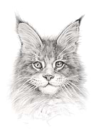 2019-09-18/99490b6fc991f1909f18bb30045d3e40_54302d36e401f958e6b84ac94839599e