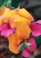 2019-09-18/b9bcfaf6e2453c73f272d3611acc86e5_6b9925a33474b73988c004eea55ef1ba