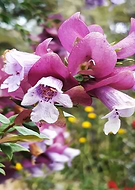 2019-09-19/3f4da8e223391d217c41df1541236118_70c36c48a1e1ac14ae142f886a1d472f