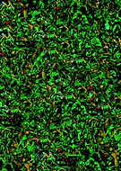 2019-09-19/85884ac5a77e4cfb0e51076dd1d68952_98385ca65117d36ceebcc70185096a88