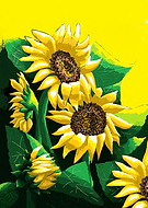 2019-09-19/d0ee321b6e2594892bc090db41781556_b5a36ee0893a98362a54af6125ce0db6