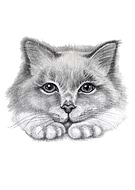 2019-09-19/f1347668f19f2c9a90d671b17e2d27eb_28db05fd01790442c088f8251138732a