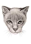 2019-09-19/faa00f39cdc0850c591db34381440475_a30e07ab1f832f80bd8ded662d9997ed