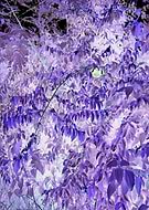 2019-09-20/2a187117e2407ef5b5d1d3e9172b6ad0_cba8ee46dcab43a0c7a8f9d3c6cf4c3a