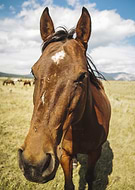 2019-09-20/2cffc4a86dbc376d43c071eca3bdc058_7838a475e0d863383bdc4deff404aa73