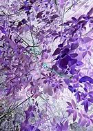 2019-09-20/443a7a002c2a3e1b87706261753c3764_d0de2eb36c8b8eab6c2a806e24124387