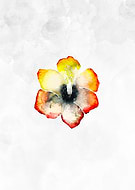 2019-09-20/79d1d5bd3364e56e7eec1da7b45c60d0_228146dabfbe256ef568b06ee9a0f609