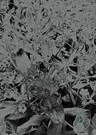 2019-09-20/7c9cf019fc9319f105ddfb5144890a52_f58898689d98ceabbb153ba25361df56