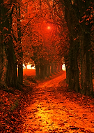 2019-09-22/6b15431a38fb6684870c8d1761c61a73_e06013afb764d5b51a18ee29d20aa634