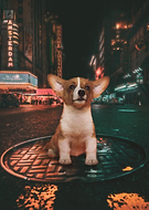 2019-09-23/2721c6c0946749de11d4ea23ba88fe16_17258401cda066437063893731fd8bad