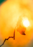 2019-09-23/38e19860baf0e1a1b91a76e68db587c8_ef0c859e6b3624ac617e6ef5aa96f878