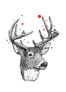 2019-09-23/bf07a56df53818f11be974afa3d4c58d_85a6ee665086a0fe640bc848dacff855