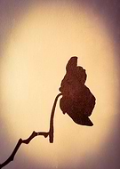 2019-09-23/f93d970d37b1a4594ba30c3e7d9028d1_22c175b22ff2e46e196c0982e0f16b3b