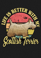 2019-09-24/8aeae3f0e92039b5eab5f8118d70b3bb_ebba2820fc3665188446ec1cd481b7b3