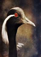 2019-09-26/8ade7b62bee8c29d9c04a8a6c114d7ec_251c9379c2b7451de96a02daf3795294