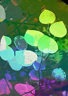 2019-09-28/99b3f5f59bd9fe530f409d8d1d1b0b69_f6dc4ce98754aef832e5da469c944381