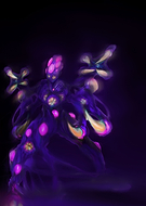 2019-09-28/b806d2163dbcaec5c5cd44f13ea84a68_796852d9d3960ba58b0f7303ccc5a4cb