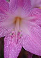 2019-09-29/f5e903b7a9fd43e40021753a046067d4_0531e5302b3eb0ce4482405384ee2f61