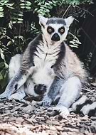 2019-09-30/e28a1c26863d6108e8bbd15b8bd5cd00_cc678861526d9649d5972847dc01060c