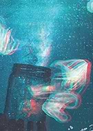 2019-10-01/37deea53467a7e9b16a0d99c5c985000_85a3d36dfab1d205be81d4d259f26f7c