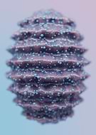 2019-10-01/5bd755c870ab68985431579408a3a645_d8f2e8c5bd3c887c9b0fca8dab365472