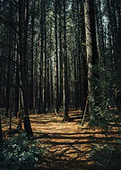 2019-10-01/870f78186fd93b6f49e16f35ab939f8b_6ff3bd4122520a7773cc74898b5772d5