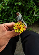 2019-10-02/a452c42cdb9fc641baeedc8f3fea25f3_aa341d5bc0707d2a56b559ca688ac90c