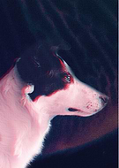 2019-10-02/d6cc857d9074a868050cde0401c18436_6a58c8f0b4fc28e1cbcd91378ee0df52