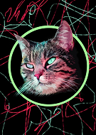 2019-10-03/b76d03a941ca3f9bd45ae0af7e1c1a00_d72cf28bef9b92d53b94c61d6fcffbb9