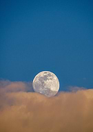 2019-10-04/e67fb5d4cd1f37e25b2439662a0420c6_562f9225b423647850f3bad5f7587d92