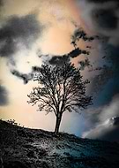 2019-10-05/284ca9776945d6e479734bb7ff453b74_4509f9b86ca8f2ecc50efa69572cbf0f