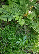 2019-10-08/6e49cb55a26d27ae1e7f0737c947cb4a_a987b967e9c52d648fa01777265a8d03