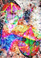 2019-10-09/08915db1d3868152db34ec62b9974da3_b201908d9efd6e6eb2c9eb9552104e73