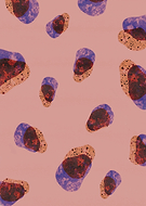 2019-10-09/4f278acd0c9e0a64ac2ebf4653855dec_f564f5d3e21b0589f1d61b2d7acfd6ce