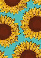 2019-10-09/a76879851715f7236846d57935469f6d_da2a58ab4683e8959d52eea9faafe909